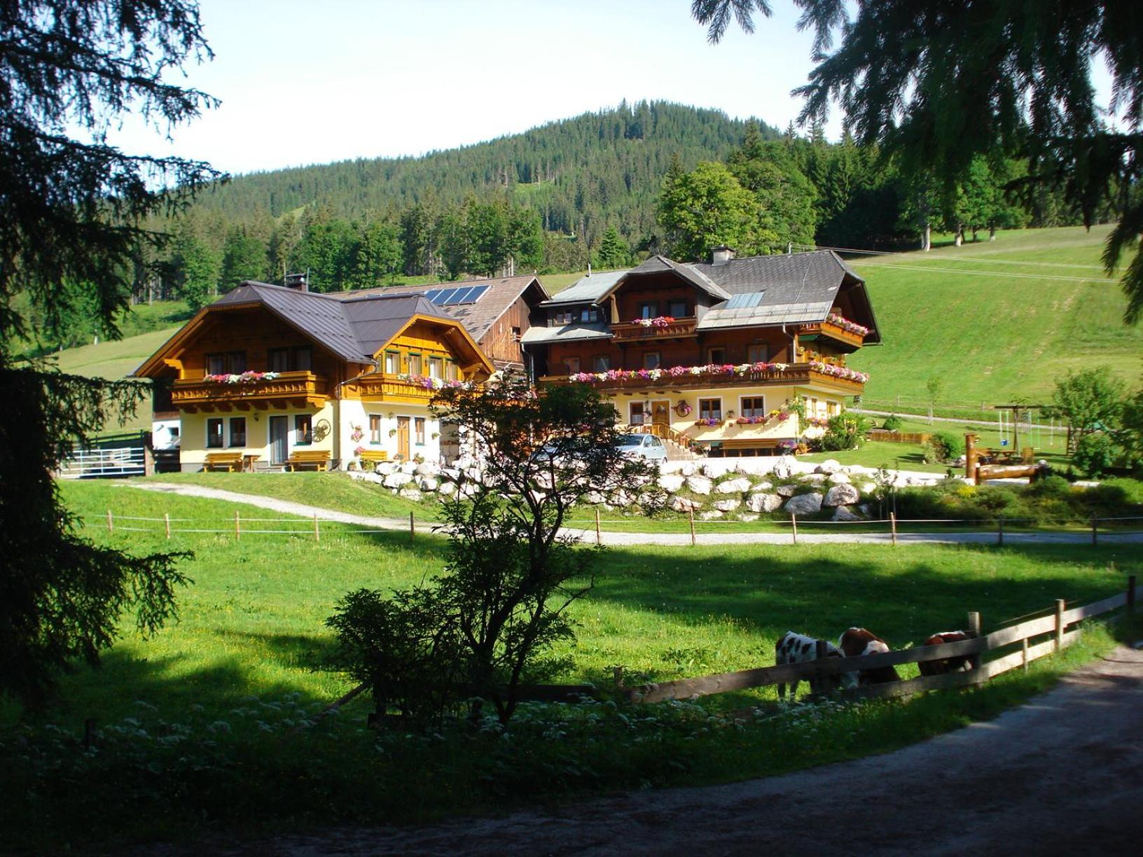 Pension-Greimelbacherhof Ramsau am Dachstein Zewnętrze zdjęcie