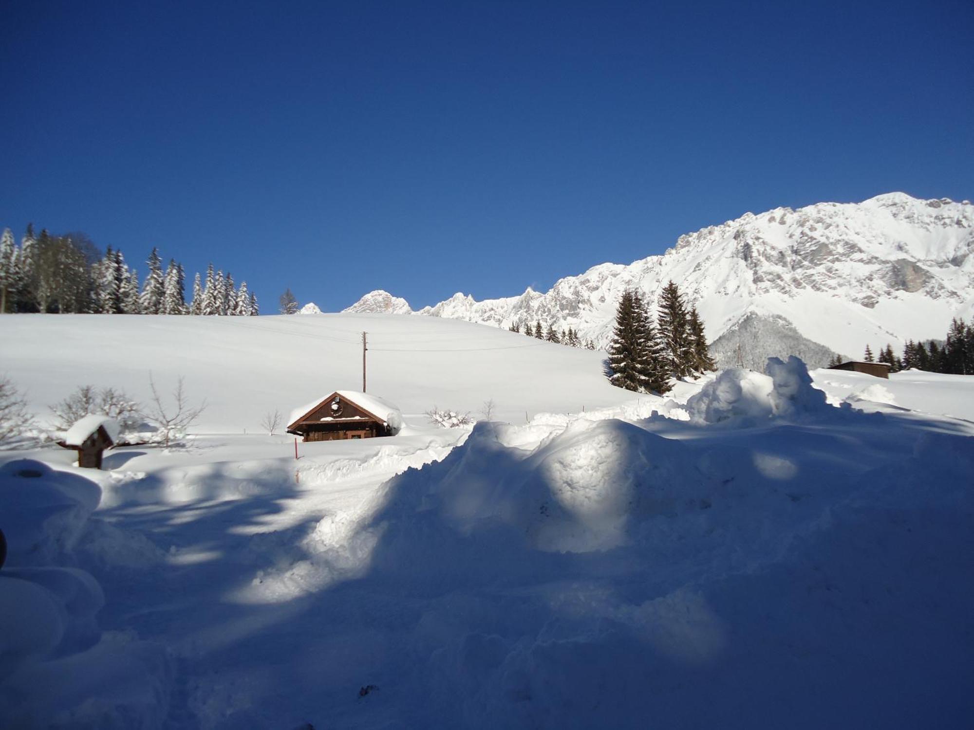 Pension-Greimelbacherhof Ramsau am Dachstein Pokój zdjęcie