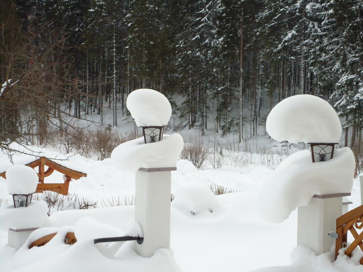 Pension-Greimelbacherhof Ramsau am Dachstein Zewnętrze zdjęcie