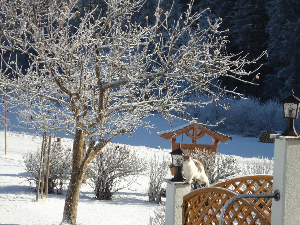Pension-Greimelbacherhof Ramsau am Dachstein Zewnętrze zdjęcie