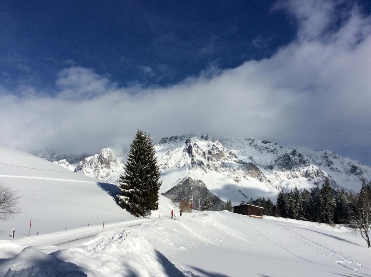 Pension-Greimelbacherhof Ramsau am Dachstein Zewnętrze zdjęcie