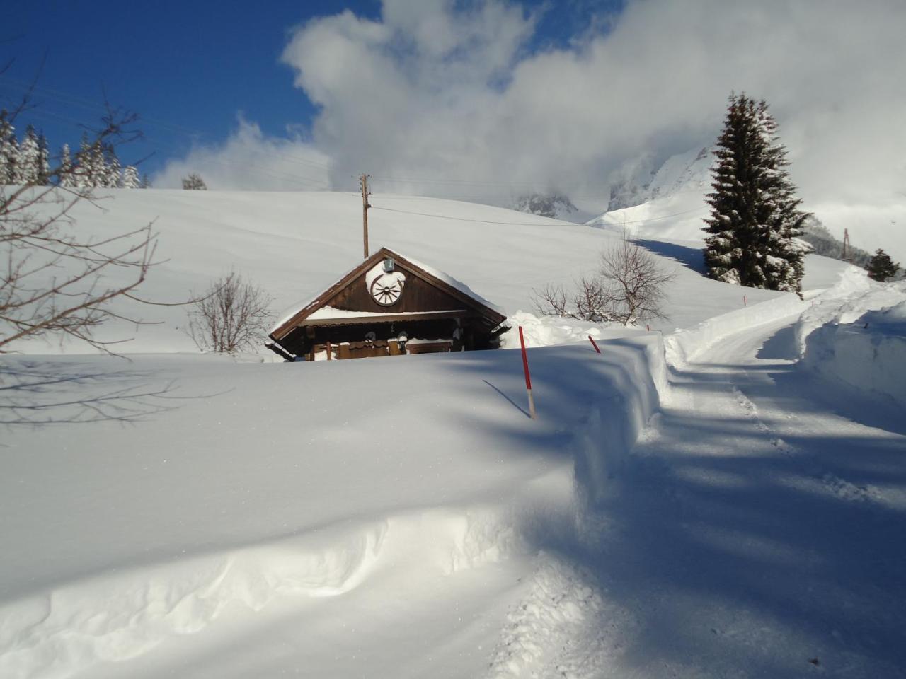 Pension-Greimelbacherhof Ramsau am Dachstein Zewnętrze zdjęcie
