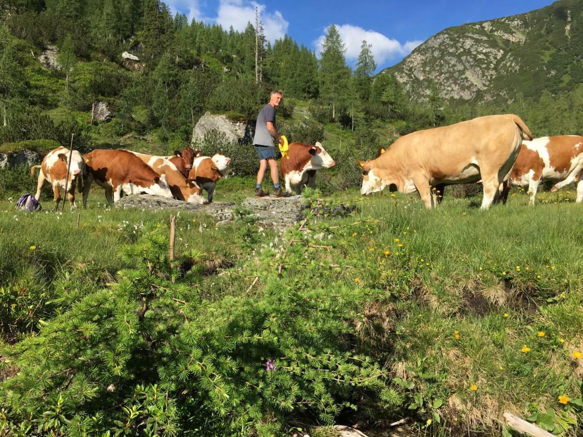 Pension-Greimelbacherhof Ramsau am Dachstein Zewnętrze zdjęcie